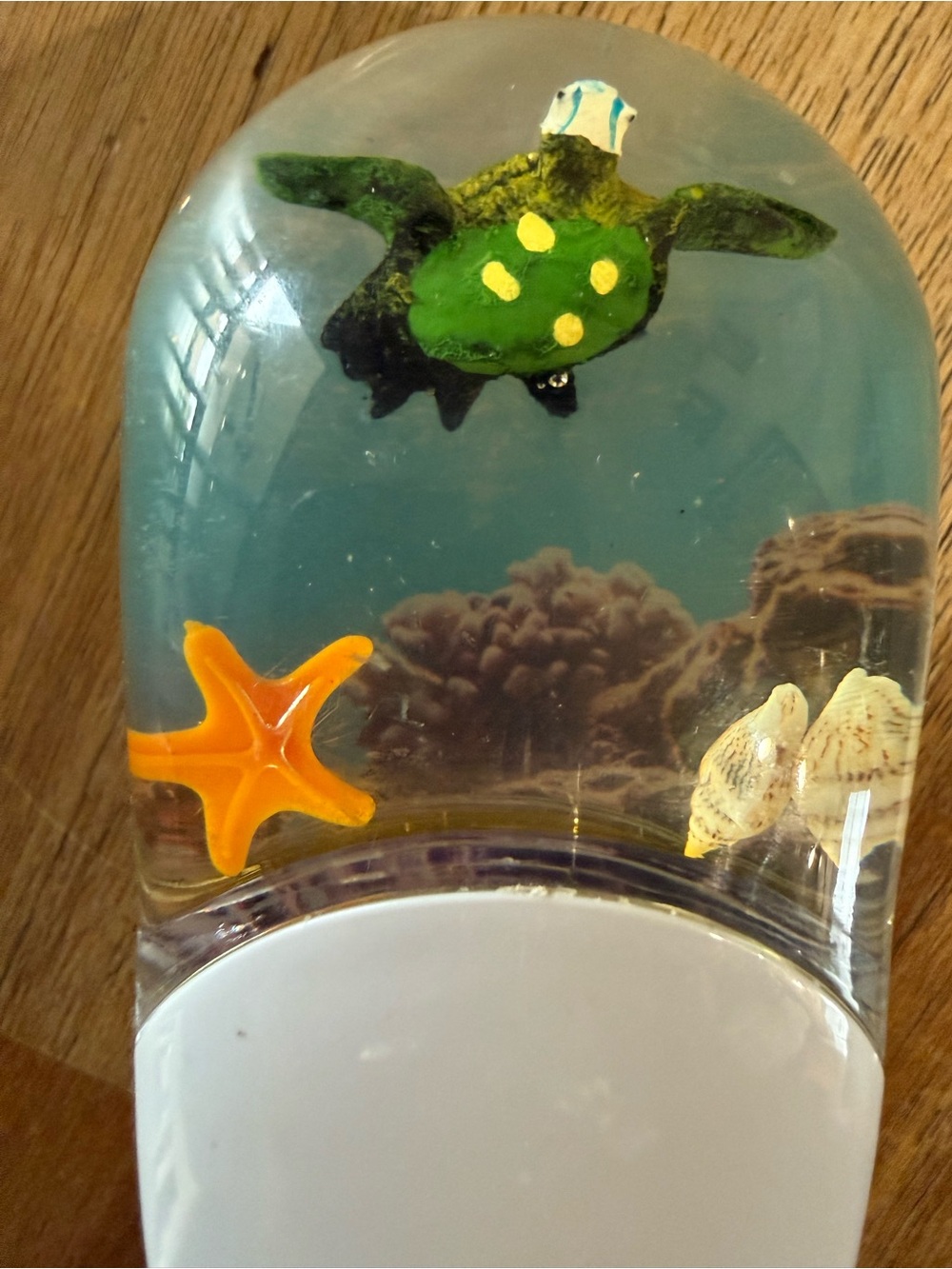 Plug-in Changing Color Night Light with Clear Dome and Colorful Fish Scene